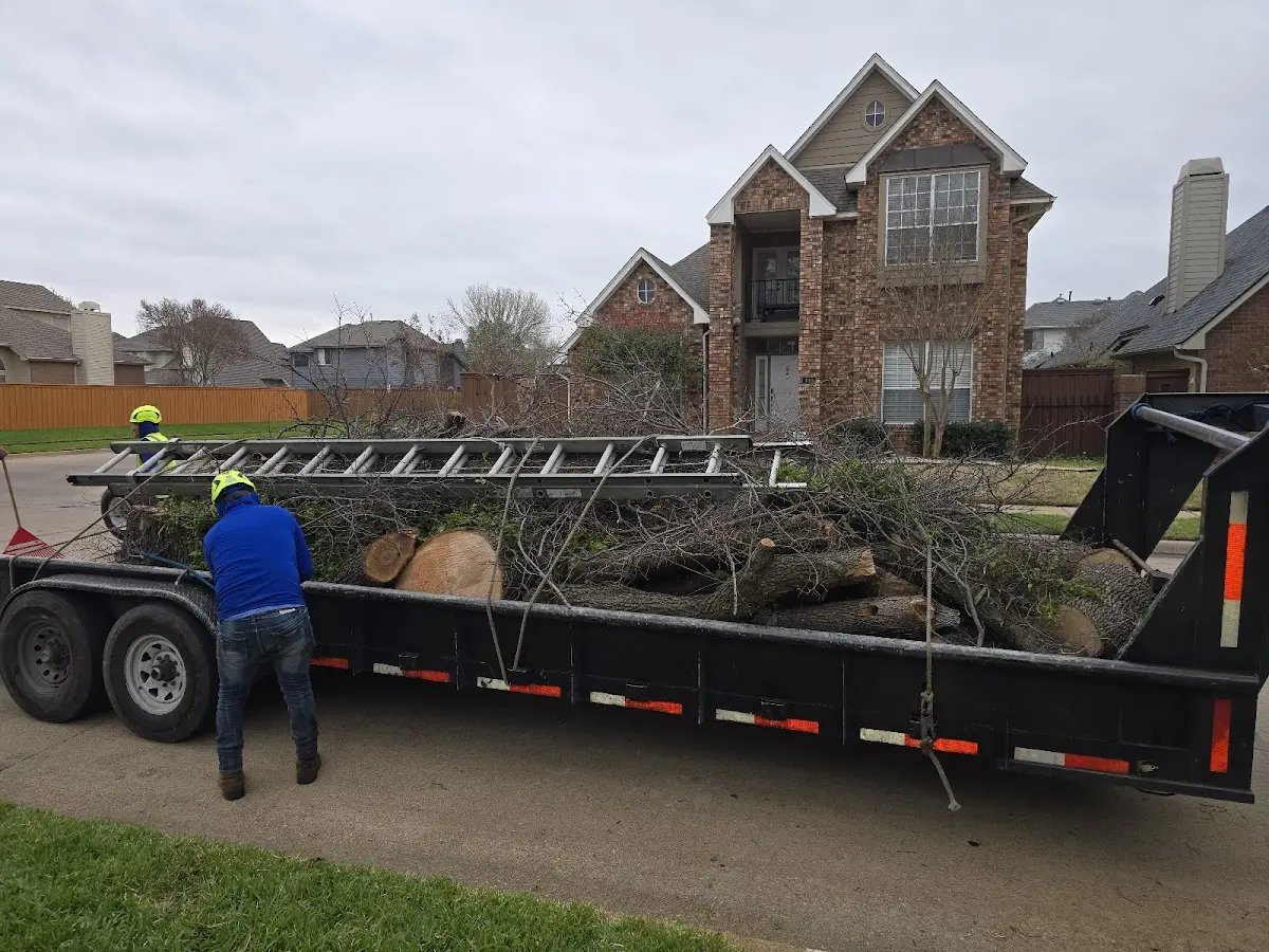 Expert Lot Clearing with proper safety equipment in Applegate